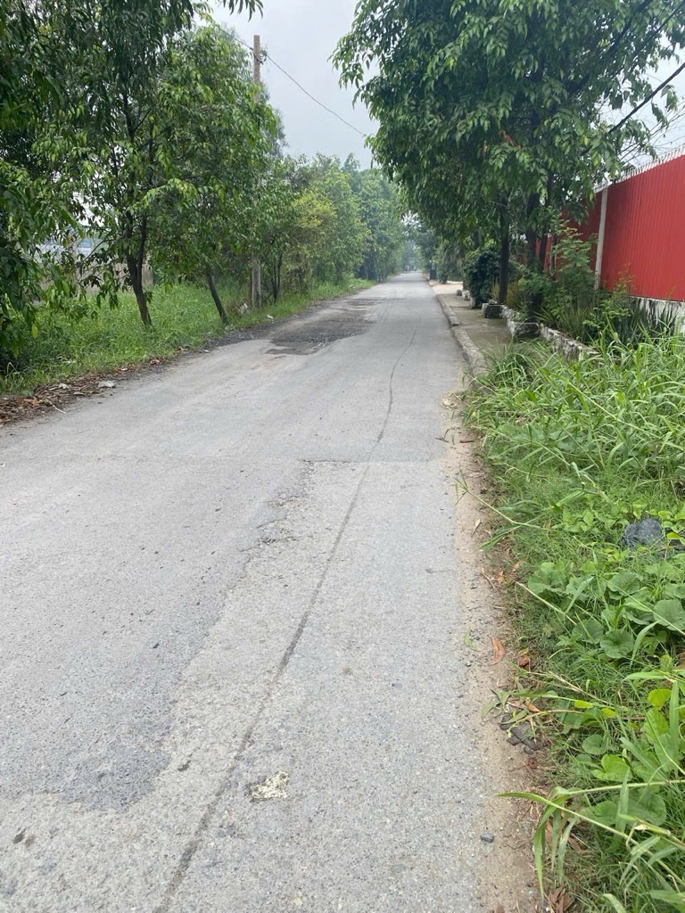 Bán Gấp 2668m2 Đất Thổ Cư Bình Chánh - An Phú Tây  - Chỉ 65 Tỷ - Ảnh 1